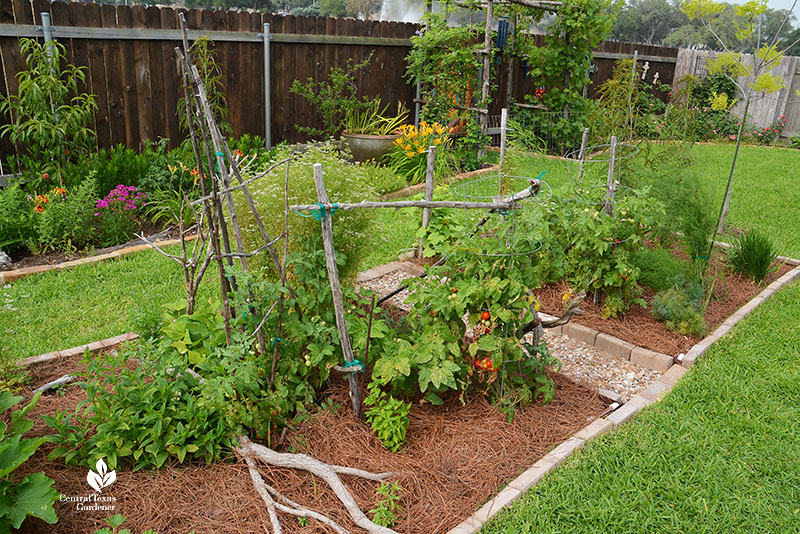 vegetable garden and fence border flowers and trees in background