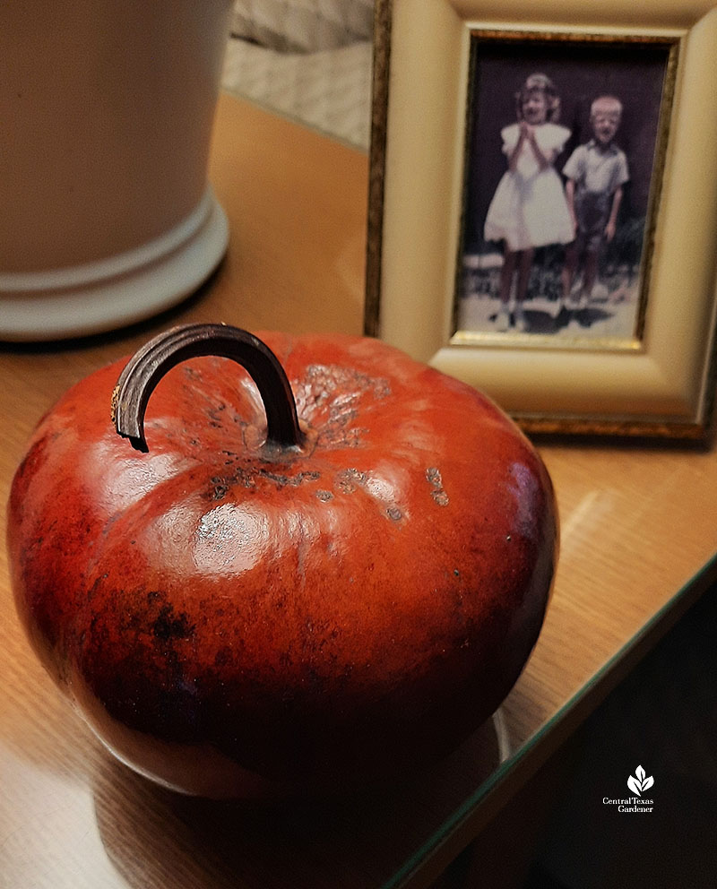 winecup red dyed apple-shaped gourd on end table
