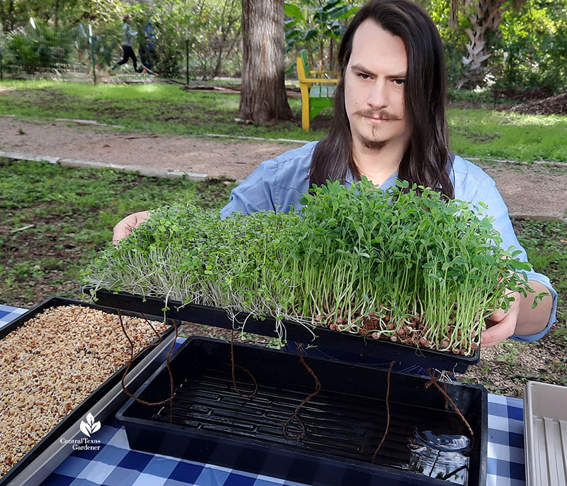 man holding up planting tray to show wicking twine strings 