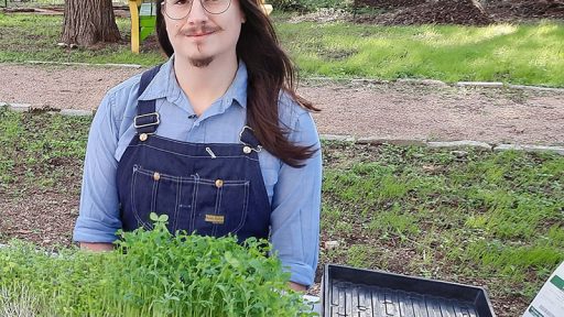 man at picnic table with tray of microgreens