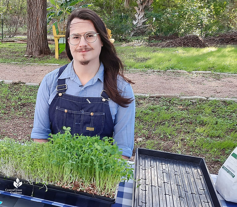 man at picnic table with tray of microgreens