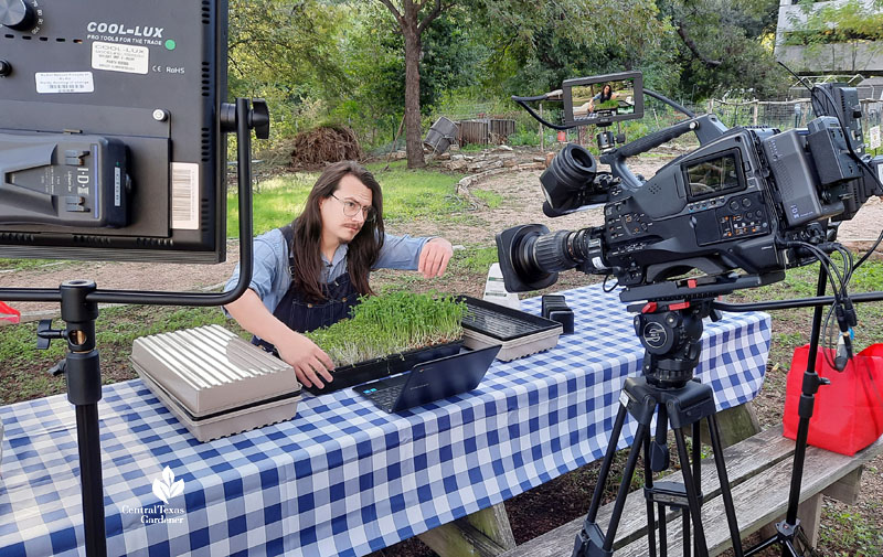 man at picnic table with tray of microgreens with camera and light near him 