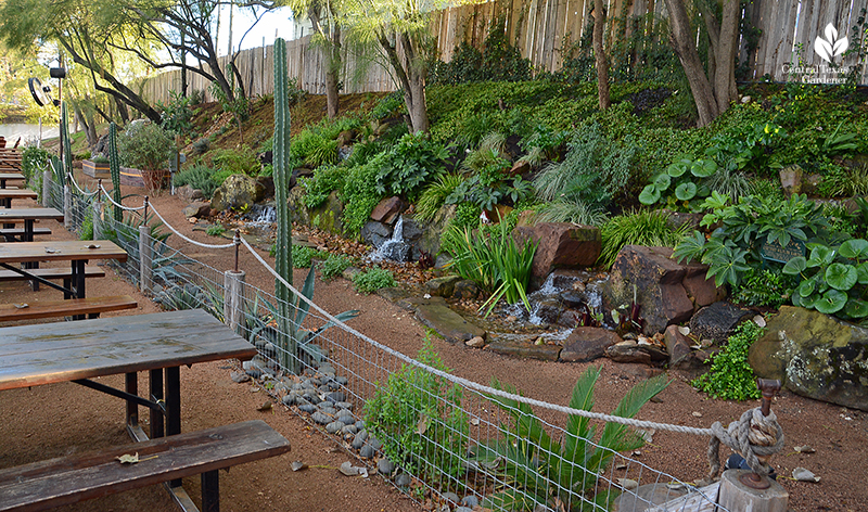 layers of plants on hillside next to picnic tables