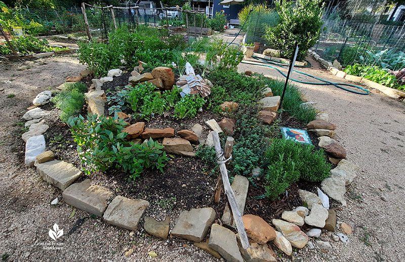 raised bed of stones filled with herbs