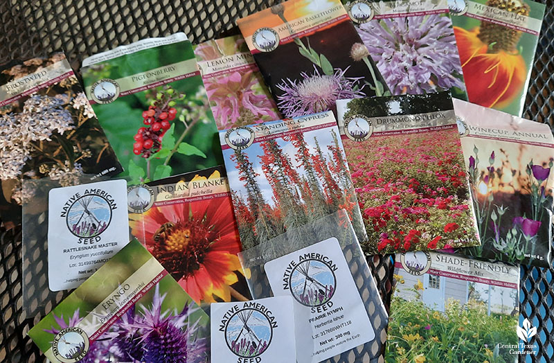 seed packets 
