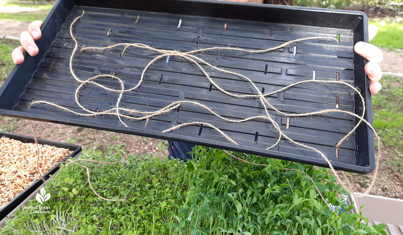 twine woven through holes in black nursery tray