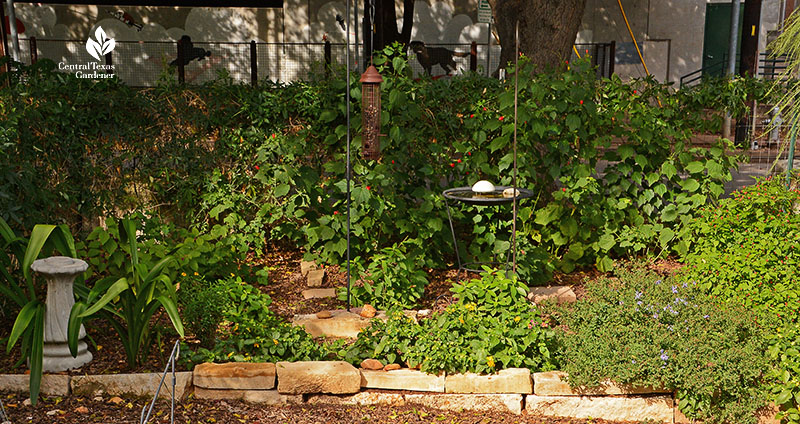 part shade garden along fence