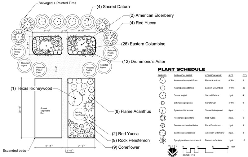 garden landscape drawing 