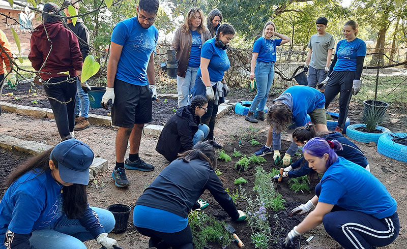 students planting native plants