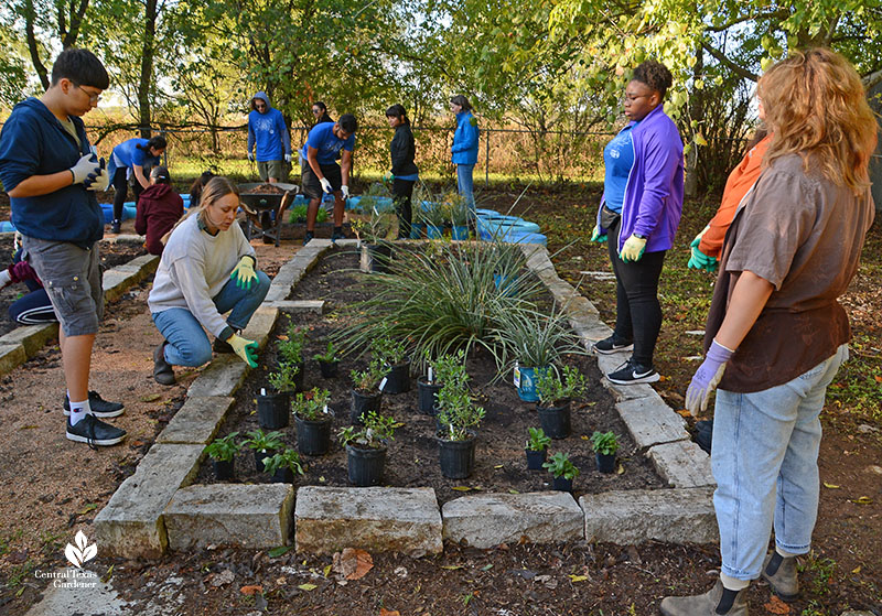 woman showing students how to plant transplants