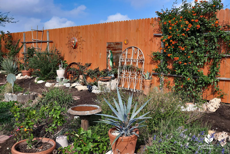 backyard mound (berm) against fence planted with flowers and succulents in containers