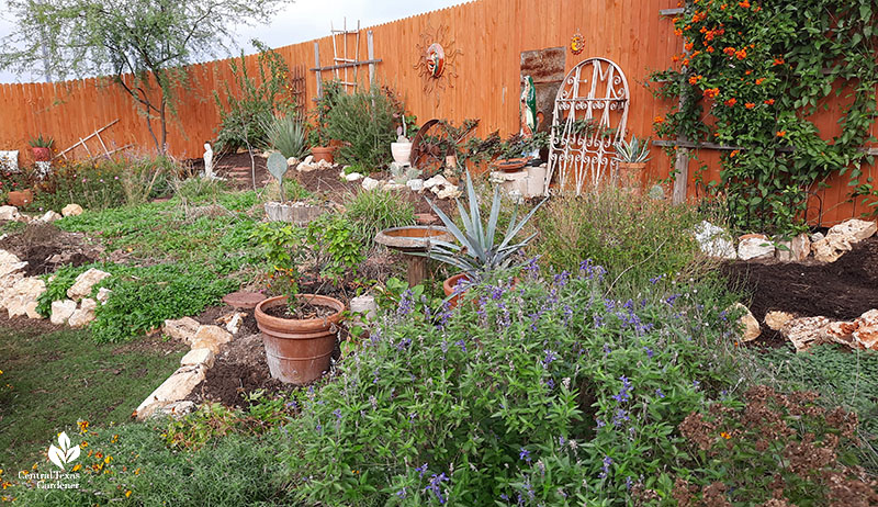 backyard mound (berm) with several plants 