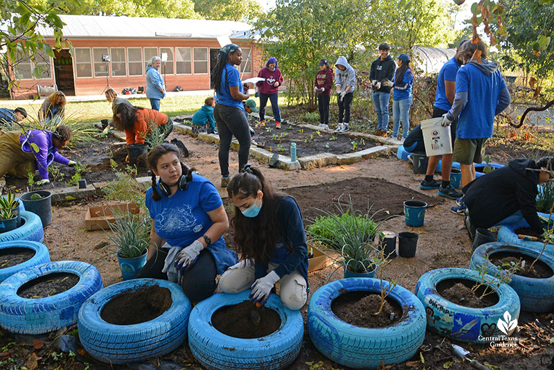 students planting tires and raised beds 
