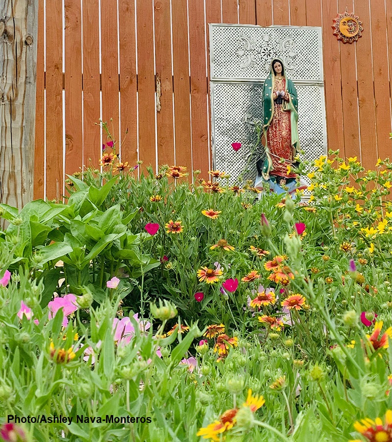 colorful wildflowers in front of Our Lady of Guadalupe figurine