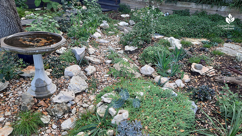 succulents and flowering plants against a dry creek bed