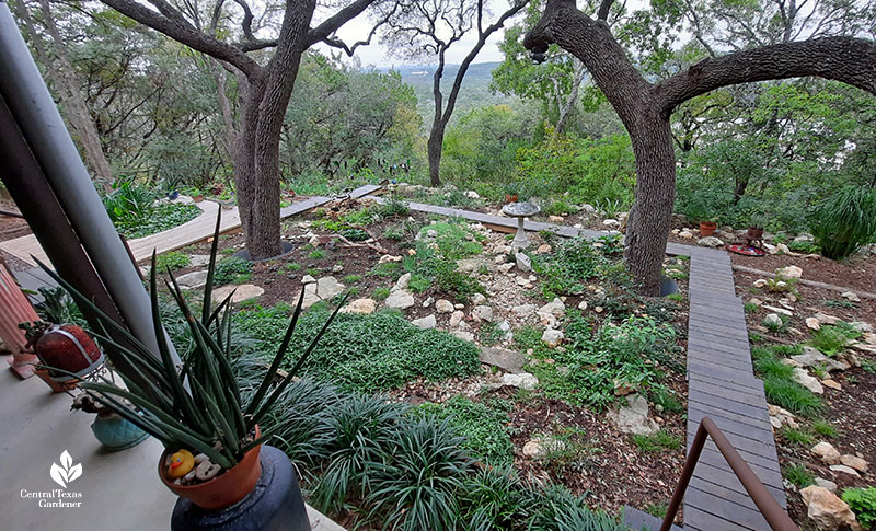 shade garden on hillside with dry creek and boardwalks