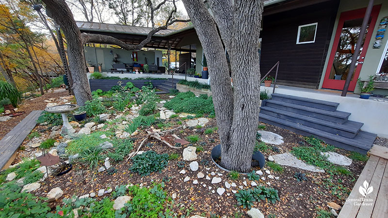 house and covered patio above hillside plantings 