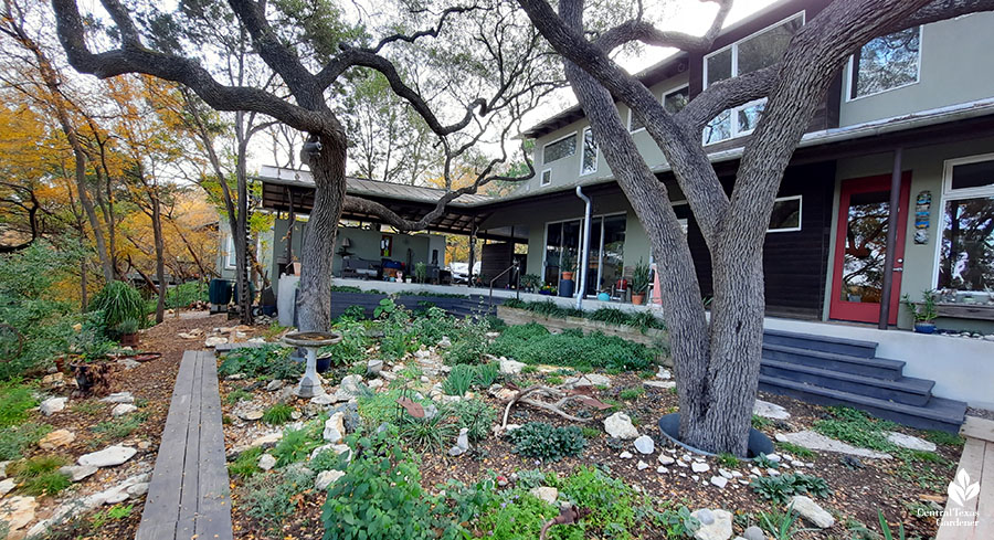 house, live oak trees and plants around a dry creek 