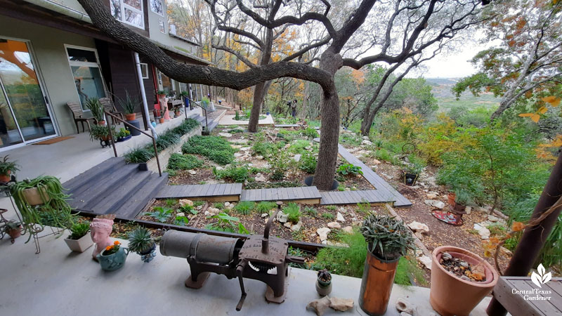 hilltop house with live oak trees and garden art 