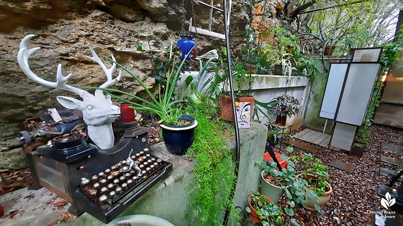 old typewriter deer antler sculpture plants against cliff 