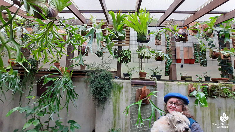 woman hugging dog in fern greenhouse