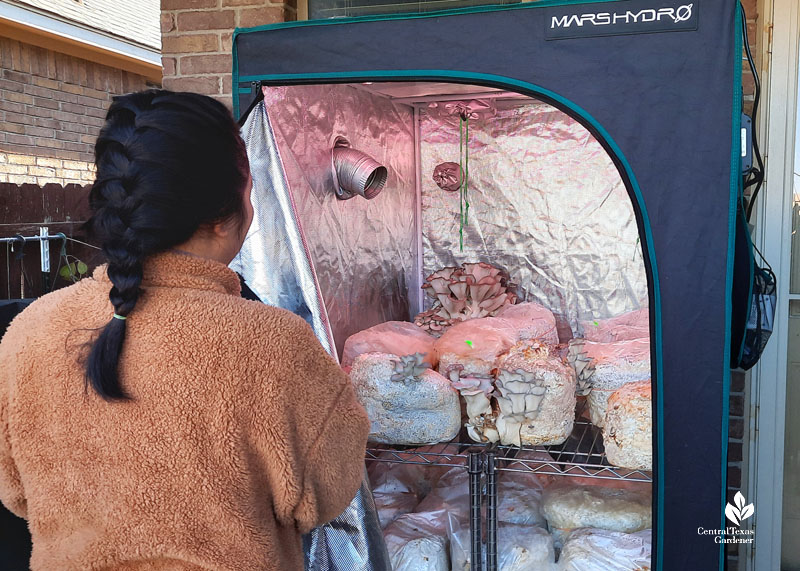 woman in front of refrigerated mushrooms 