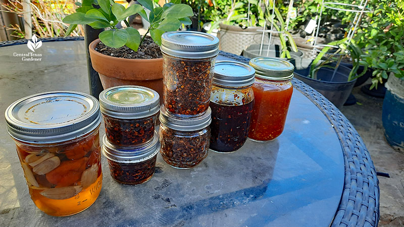 small Mason jars of red pastes and flakes 