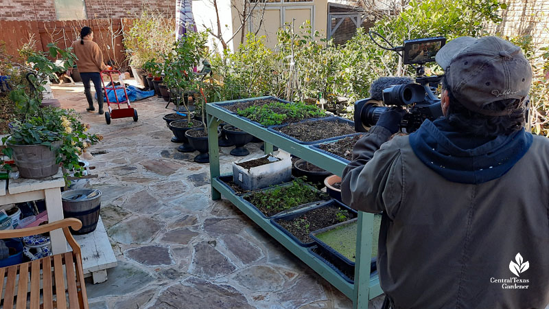 man with camera taping woman with dolly cart in backyard paved with stone
