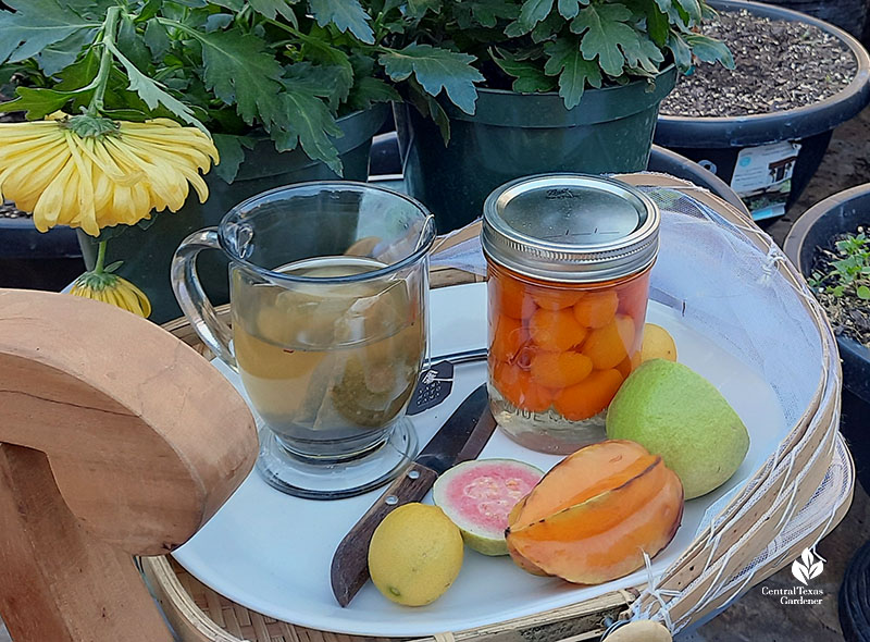 clear mug of tea, pink, yellow and orange-colored fruits