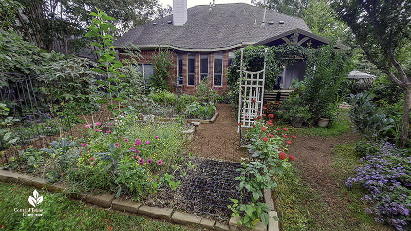 raised bed gardens around house