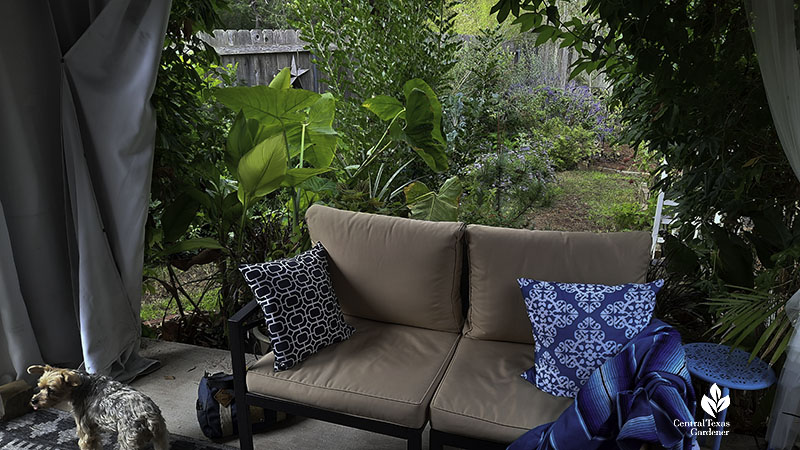 outdoor patio couch framed by curtains and vine 