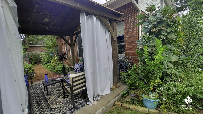 cabana next to house and plants beyond