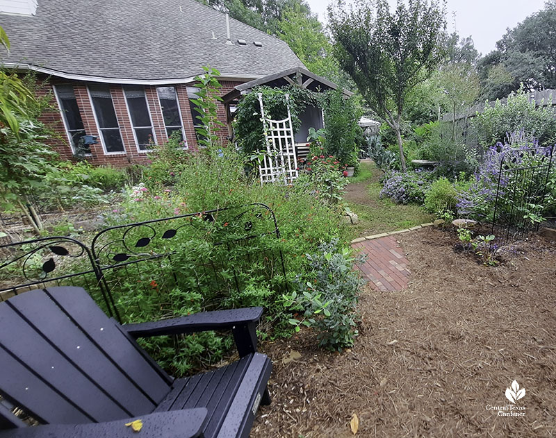 Adirondack chair on mulch view to house raised beds fence with various plants  