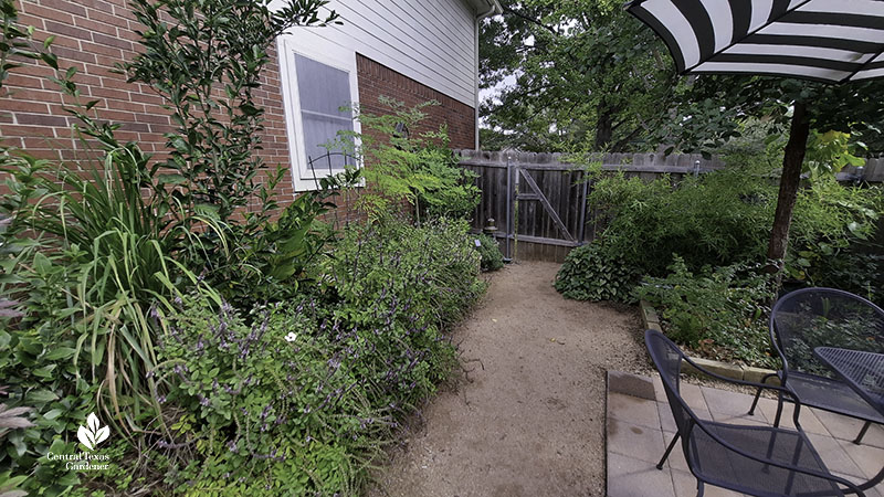 side garden with various plants lining house and patio table on the right 
