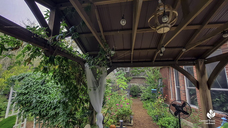 cabana ceiling with outdoor lights on strings 