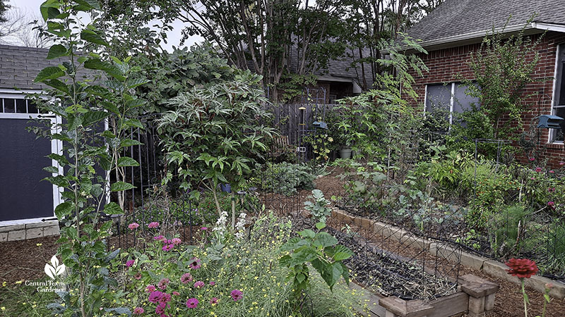 raised garden beds surrounded by stone 