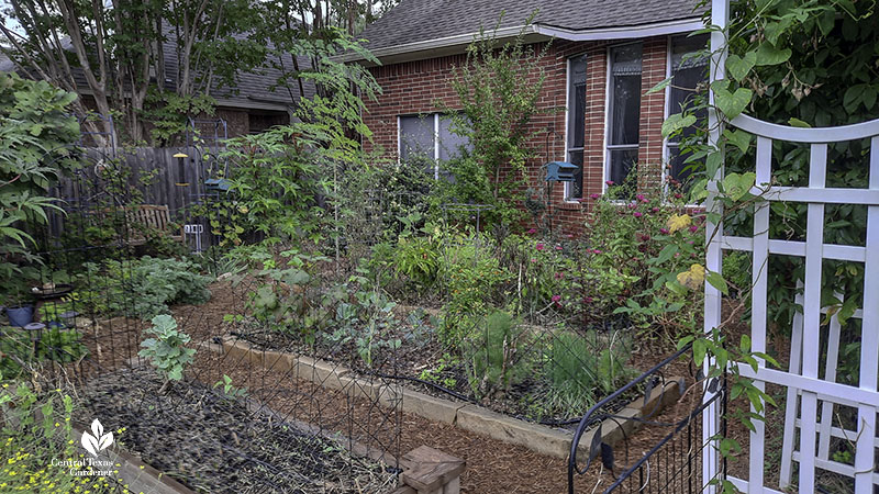 raised garden beds surrounded by stone 