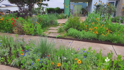 front yard garden with flowering perennials and wildflowers