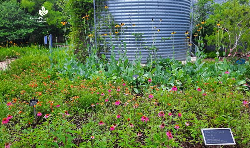 large silver cistern with surrounding bed of tall yellow flowers, pink coneflowers, and orange and yellow lantana