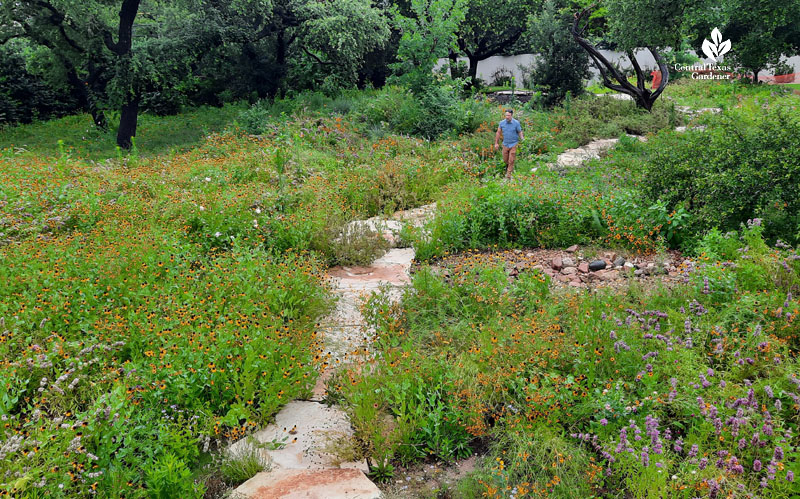 man walking through wildflower fields 