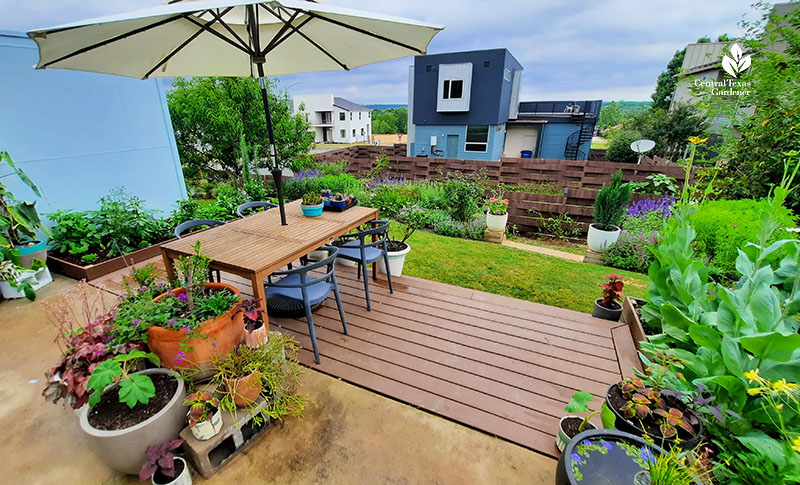 Trex patio, dining table container plants, raised beds beyond with flowering perennials 