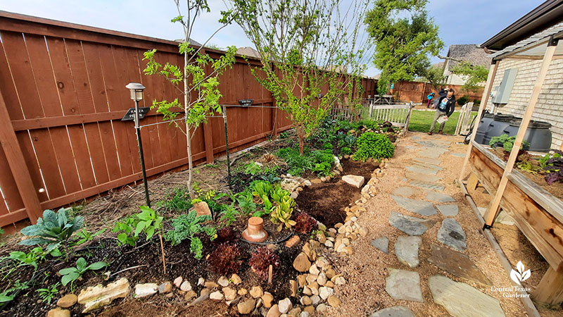 man coming through gate to side garden of garden beds and raised aquaponics garden 