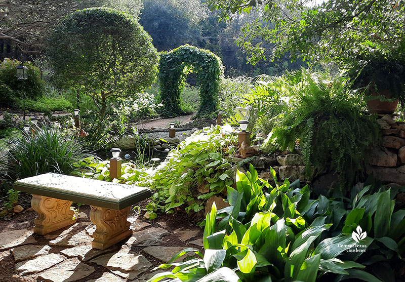 bench at pond and view through topiary yaupon holly and vine covered arbor