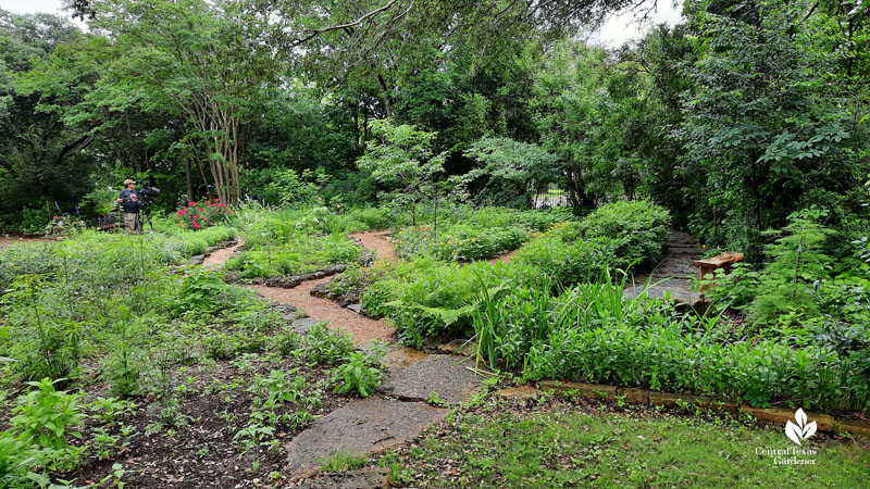 layers of foliage and flowering plants in a circular garden 