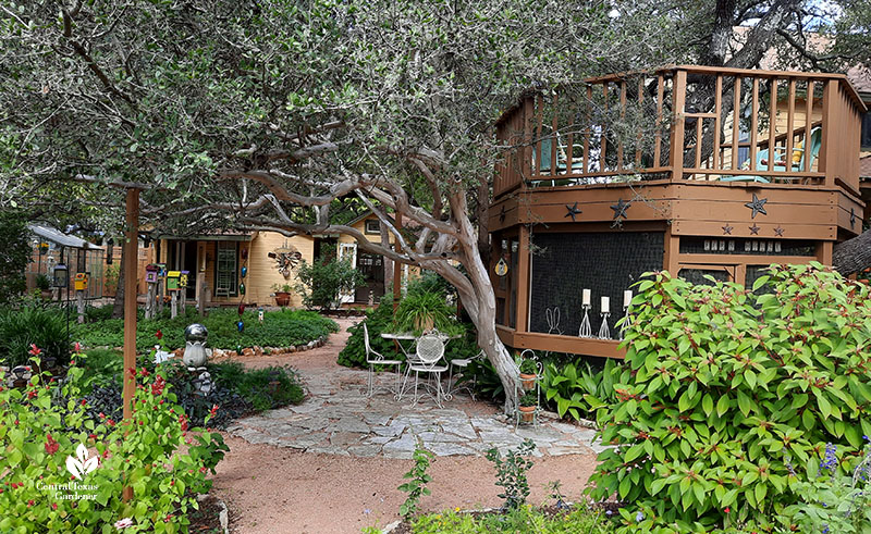 granite path flagstone patio area leaning white-barked tree and tall treehouse structure