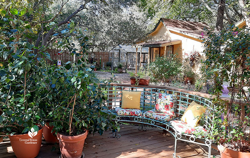 colorful curving bench on deck flanked by container plants and she-sheds