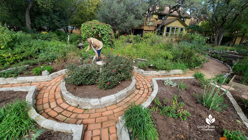 woman in brick and stone circle garden of herbs and roses, arbor beyond to house and gardens 