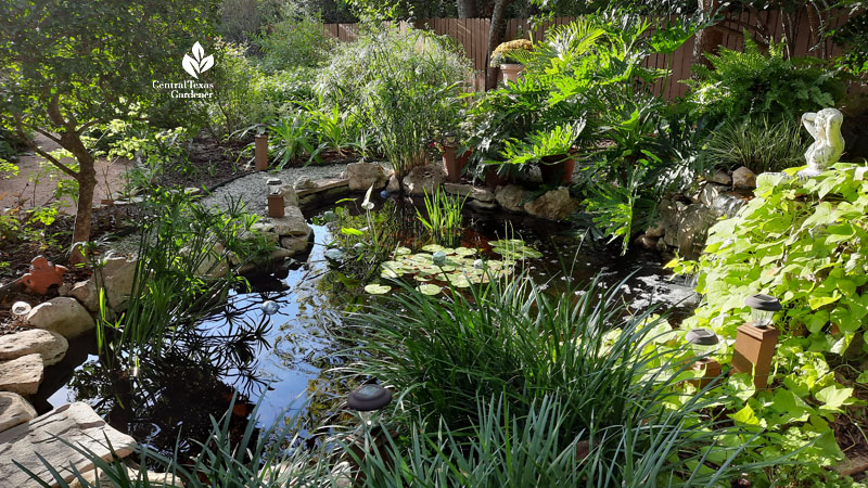 shimmering water plants of different textures