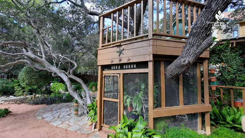 tall wooden structure with railing on top and below screened in walls and door with ferns in view