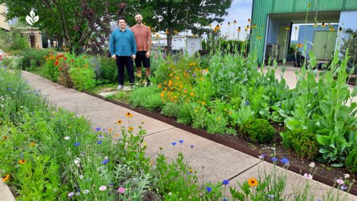 two men in front yard gardens